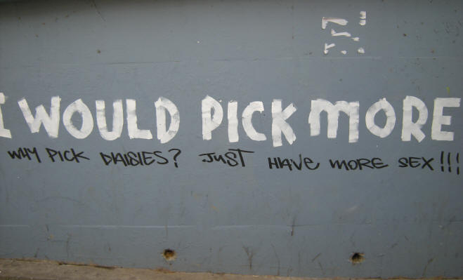why pick daisies?