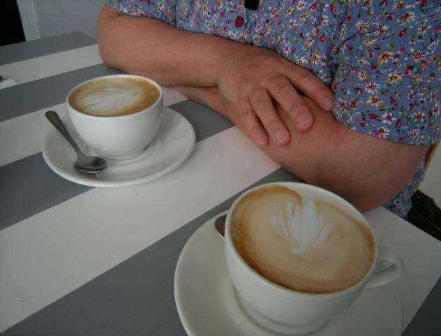 de perfecte cappucino...