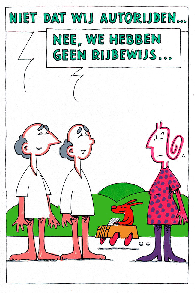 we hebben geen rijbewijs...