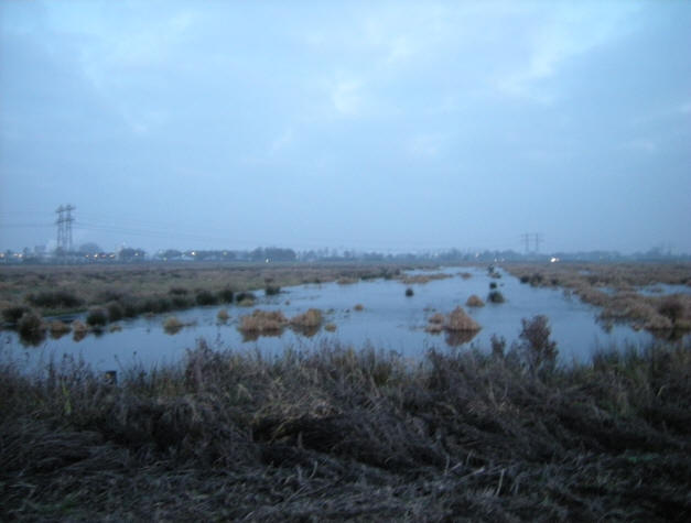 half december 2009...