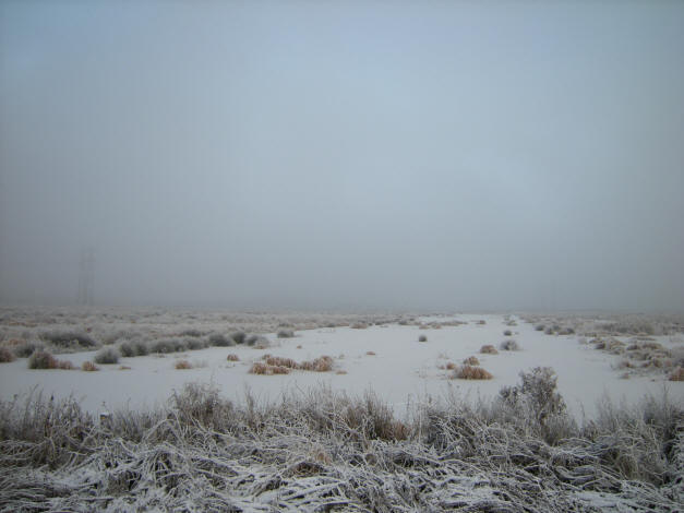 eind december 2009 - als je goed kijkt zie je links een electriciteitsmast...