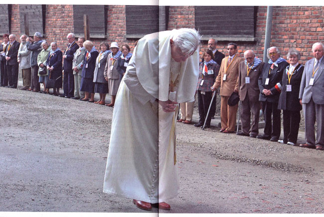 de paus in auschwitz...