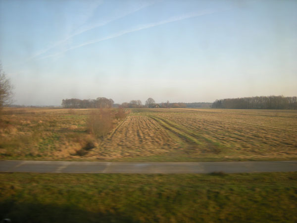 struiken