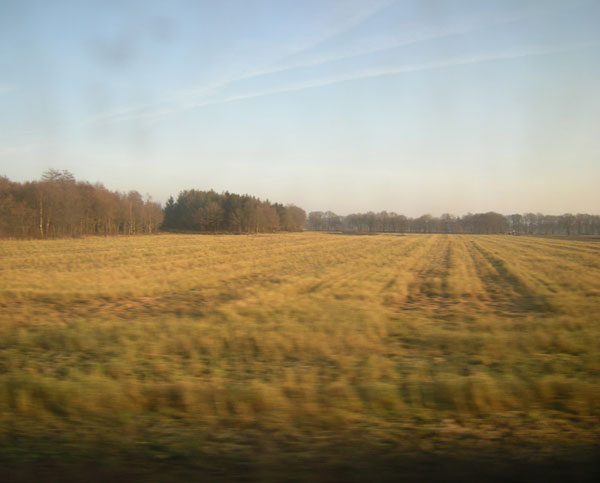 geel land