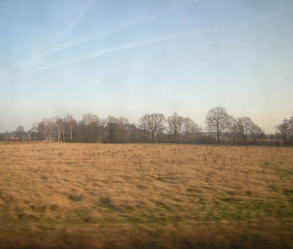 bomen aan de horizon...