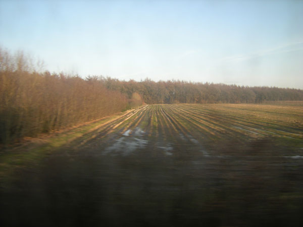 bomen
