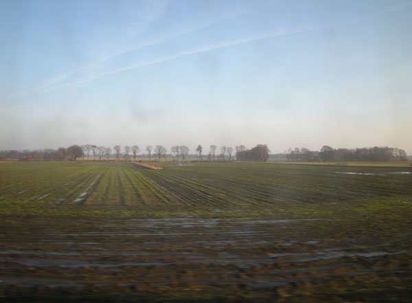 bomen in de verte...