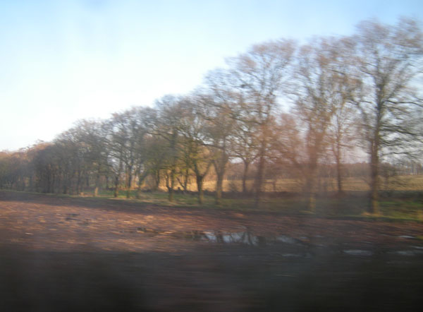 bomen