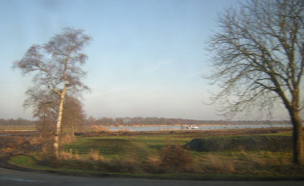 twee bomen...