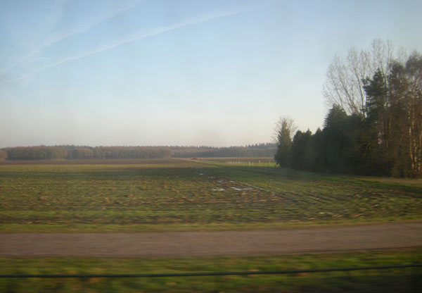bosje