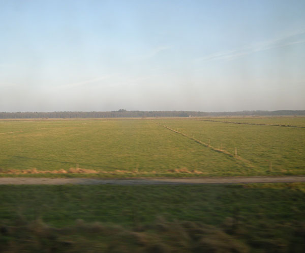 groene vlakte