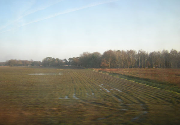 voren in het veld...