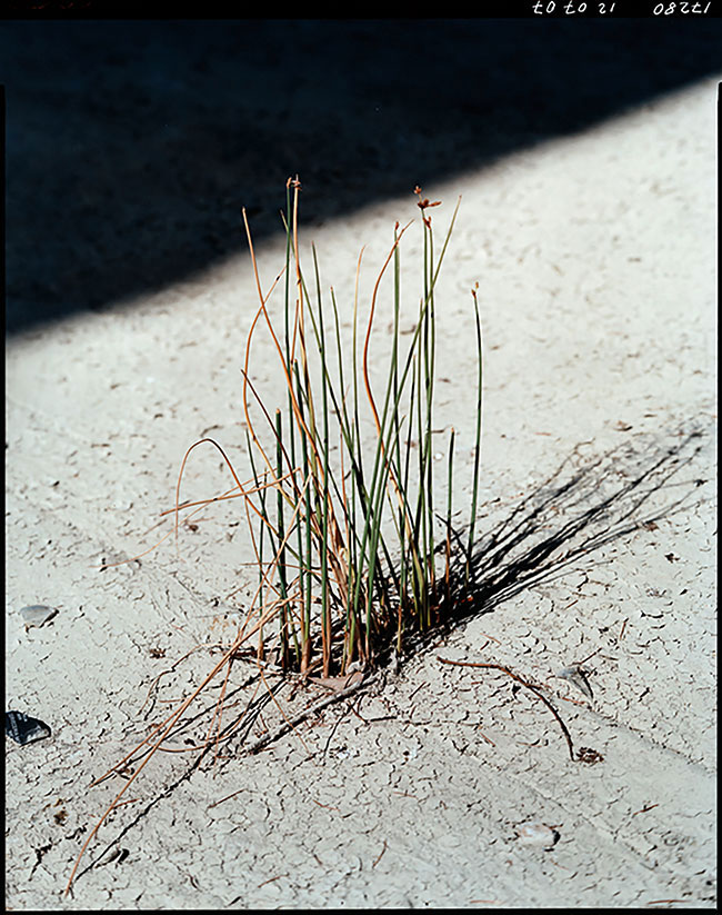 guido guidi...