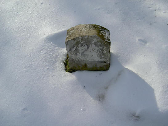 paaltje in de sneeuw...