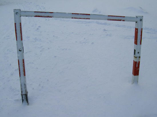 hekje in de sneeuw...