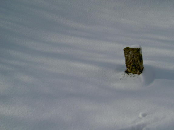 paaltje in de sneeuw...
