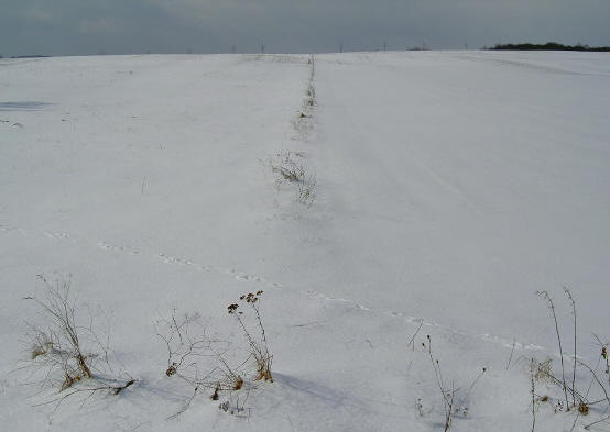 sporen in de sneeuw...