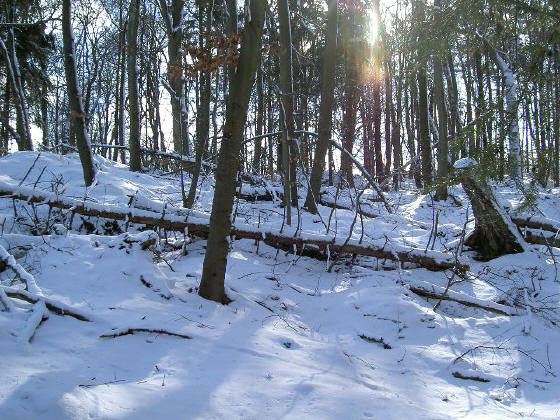 tot de enkels door de knerpende sneeuw...