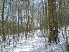 wandeling in de sneeuw...