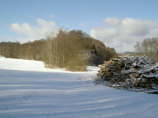 het begin van de wandeling...