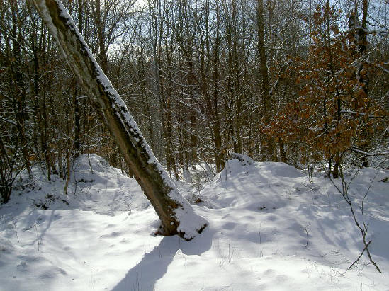 sneeuw...