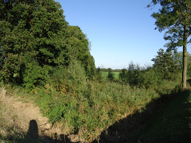 oktober 2012 - nu volledig verwilderd...