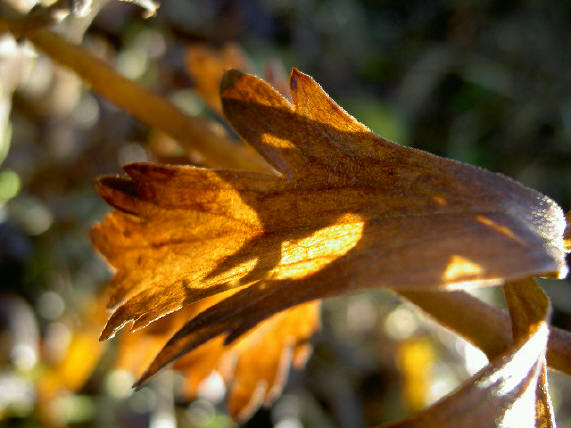 winterwarmte...