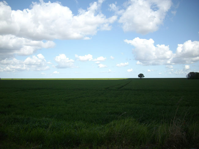 streep zon aan de horizon...