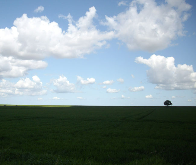 voorzichtig streepje zon...