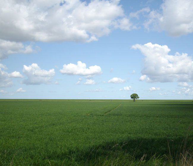 en dan is de zon ineens overal...