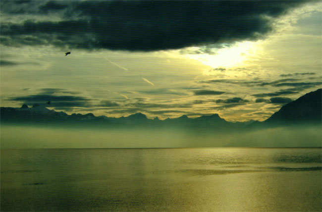 mist...