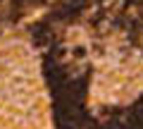 schaduw