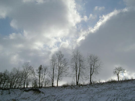 bomen boven een afgrond...