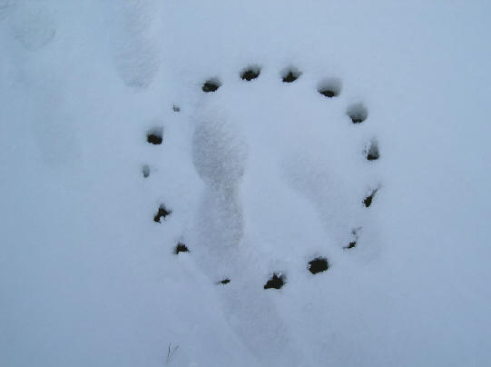 put in de sneeuw...
