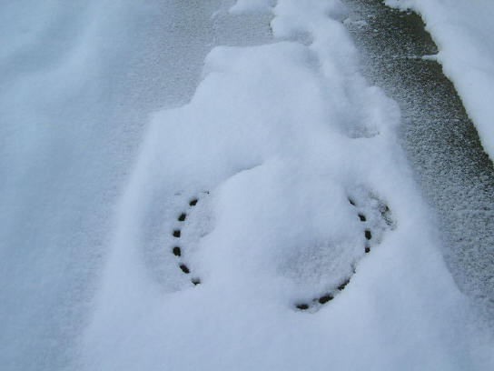 nog een put in de sneeuw...