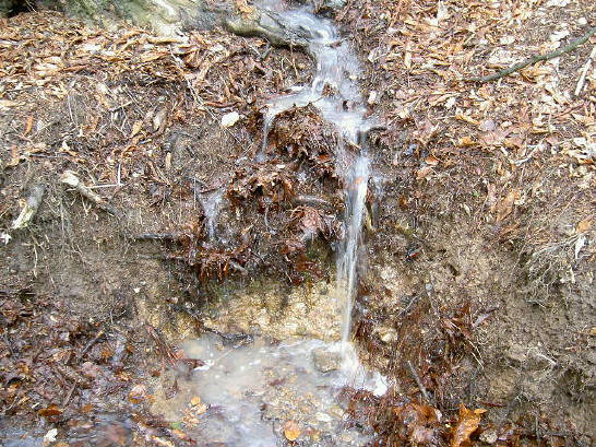 wittig bronwater...