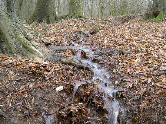 bergstroompje...