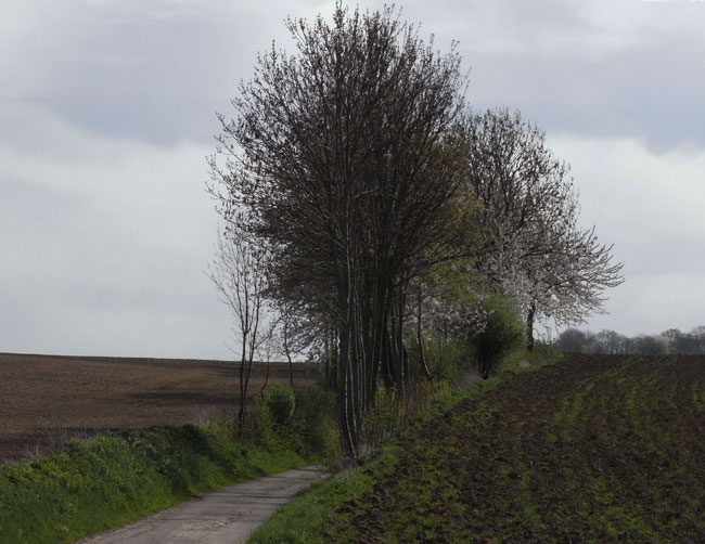 het begin van een holle weg...
