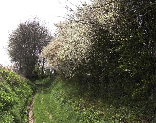 slingerend door het heuvelland