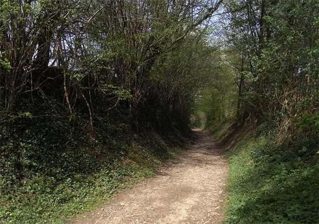 tunnelweg...