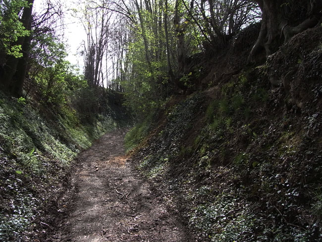 majestueuze holle weg...