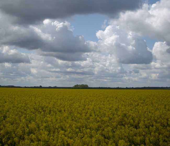 zon achter wolk...