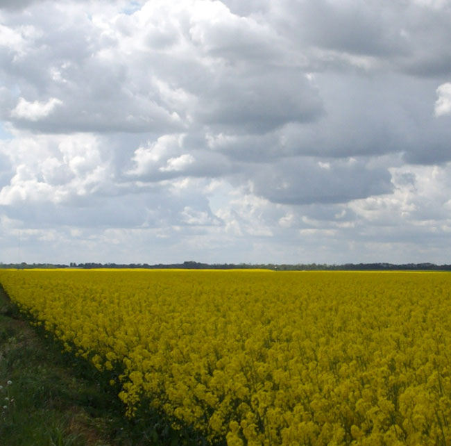 zon aan de horizon...