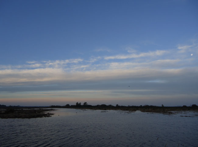 een koude novemberochtend 2012