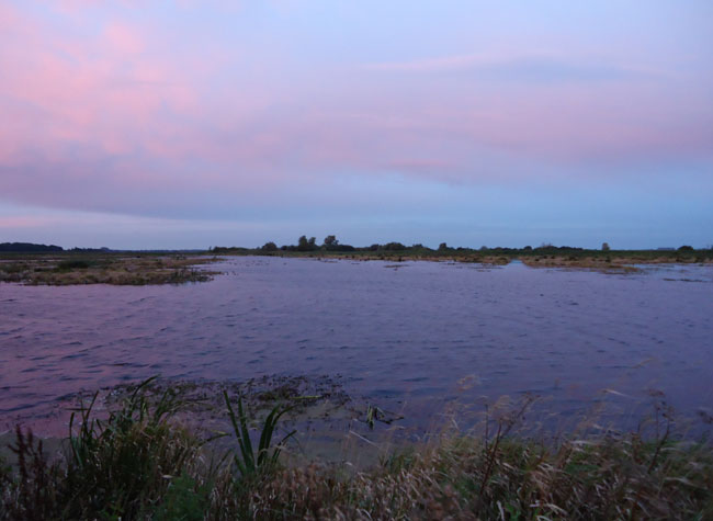 rood, paars, oktober 2012