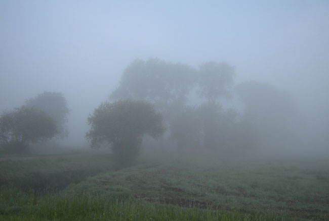groen, grijs, blauw...