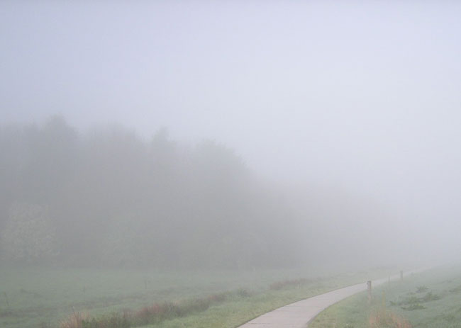 rechts de polder, links de bosrand...