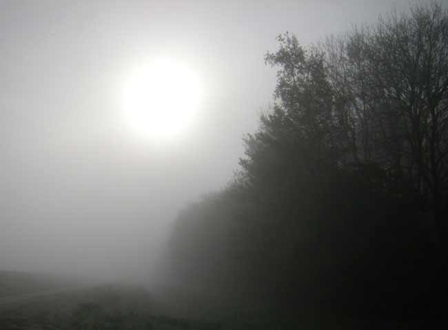 zon brandt door de mist...