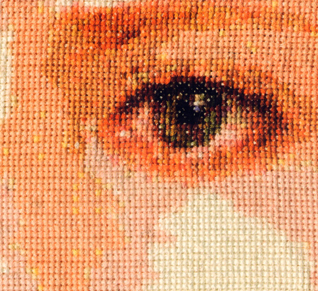 geborduurd oog...