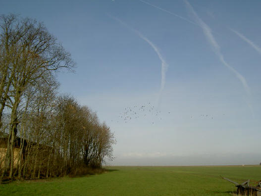 een schuur met bomen eromheen...
